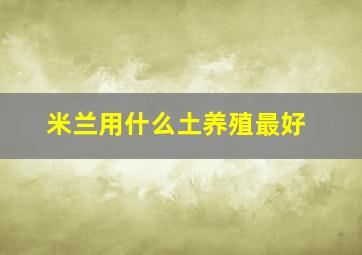 米兰用什么土养殖最好