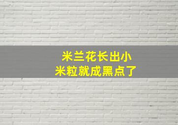 米兰花长出小米粒就成黑点了