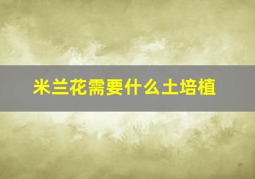 米兰花需要什么土培植