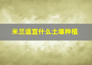 米兰适宜什么土壤种植