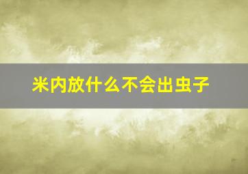 米内放什么不会出虫子