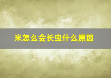 米怎么会长虫什么原因