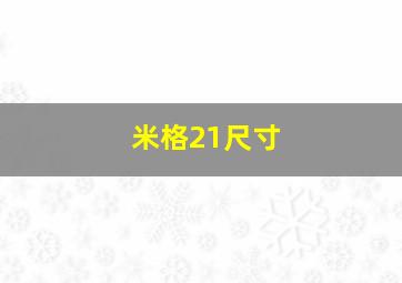 米格21尺寸