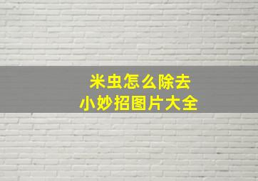 米虫怎么除去小妙招图片大全