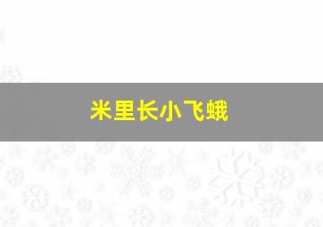 米里长小飞蛾