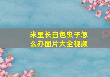 米里长白色虫子怎么办图片大全视频