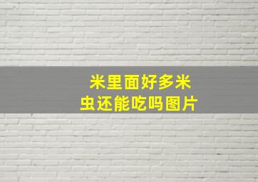 米里面好多米虫还能吃吗图片