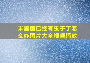 米里面已经有虫子了怎么办图片大全视频播放