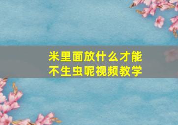 米里面放什么才能不生虫呢视频教学