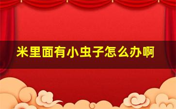 米里面有小虫子怎么办啊