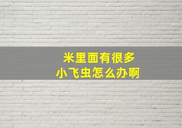 米里面有很多小飞虫怎么办啊