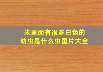 米里面有很多白色的幼虫是什么虫图片大全