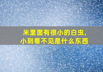 米里面有很小的白虫,小到看不见是什么东西