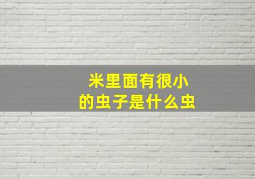 米里面有很小的虫子是什么虫