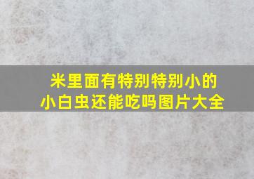 米里面有特别特别小的小白虫还能吃吗图片大全