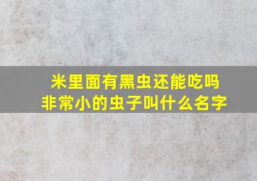 米里面有黑虫还能吃吗非常小的虫子叫什么名字