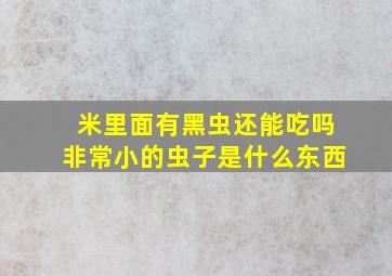 米里面有黑虫还能吃吗非常小的虫子是什么东西