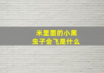 米里面的小黑虫子会飞是什么