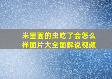 米里面的虫吃了会怎么样图片大全图解说视频