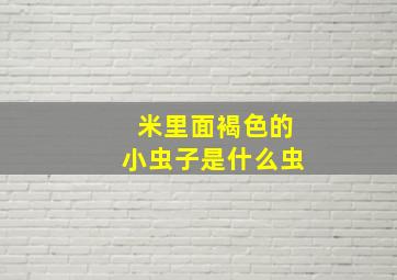 米里面褐色的小虫子是什么虫