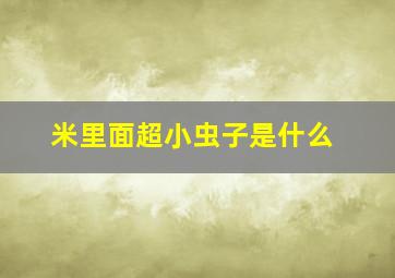 米里面超小虫子是什么