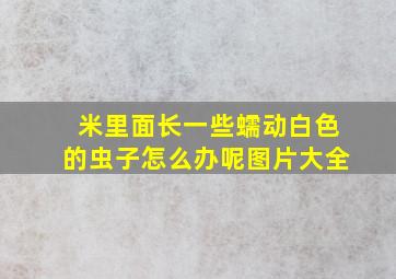 米里面长一些蠕动白色的虫子怎么办呢图片大全