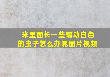 米里面长一些蠕动白色的虫子怎么办呢图片视频