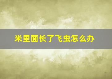 米里面长了飞虫怎么办