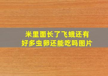 米里面长了飞蛾还有好多虫卵还能吃吗图片