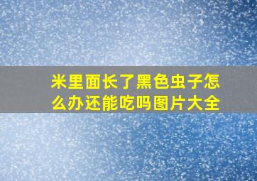 米里面长了黑色虫子怎么办还能吃吗图片大全