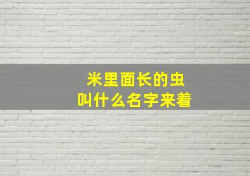 米里面长的虫叫什么名字来着