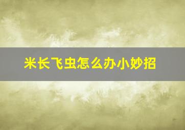 米长飞虫怎么办小妙招