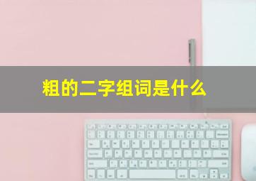 粗的二字组词是什么