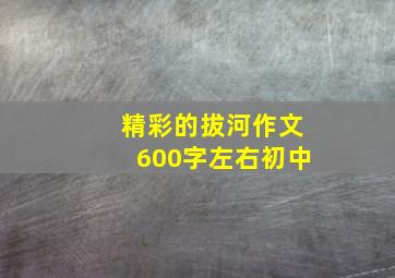 精彩的拔河作文600字左右初中