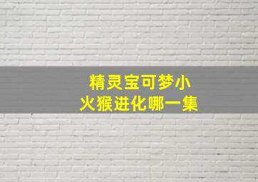 精灵宝可梦小火猴进化哪一集