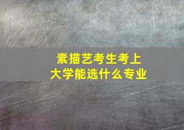 素描艺考生考上大学能选什么专业