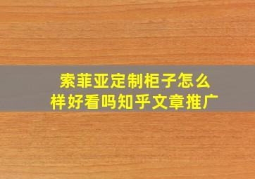 索菲亚定制柜子怎么样好看吗知乎文章推广