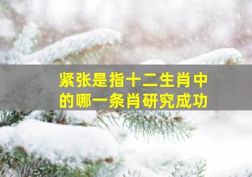 紧张是指十二生肖中的哪一条肖研究成功