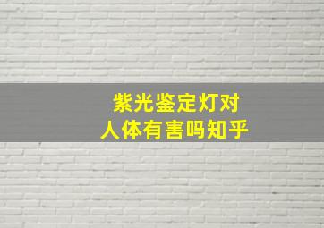 紫光鉴定灯对人体有害吗知乎