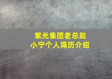 紫光集团老总赵小宁个人简历介绍