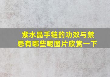 紫水晶手链的功效与禁忌有哪些呢图片欣赏一下