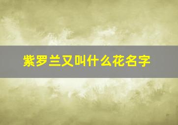 紫罗兰又叫什么花名字