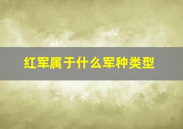 红军属于什么军种类型