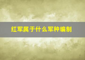 红军属于什么军种编制