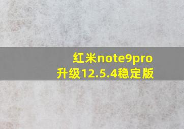 红米note9pro升级12.5.4稳定版