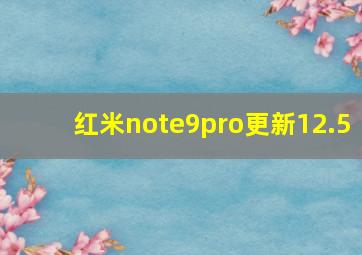 红米note9pro更新12.5