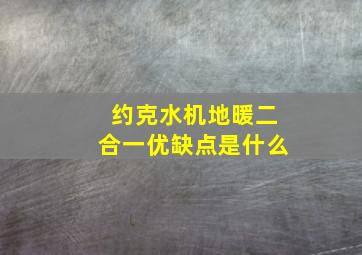 约克水机地暖二合一优缺点是什么