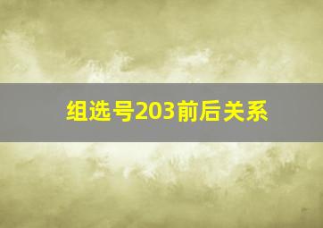 组选号203前后关系