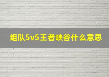 组队5v5王者峡谷什么意思