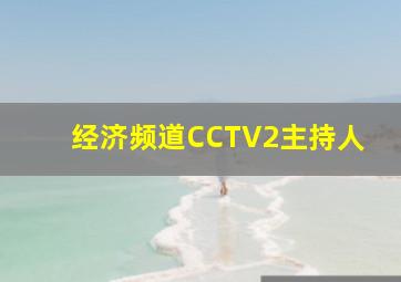 经济频道CCTV2主持人